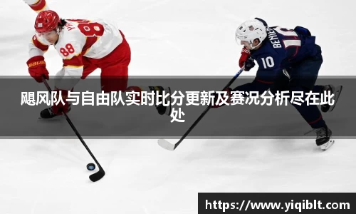 飓风队与自由队实时比分更新及赛况分析尽在此处